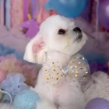 2701a3f4a54ca2e304f16a113aac0a6df0291ebb8c57cc3a37f484dbdfe9ce79_m.jpeg?1772778774