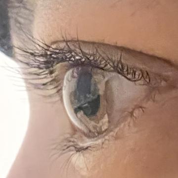 920cf010ea687556ea72096a663a7caeb085df4384f12097fa66dc556db53017_m.jpeg?1772781591