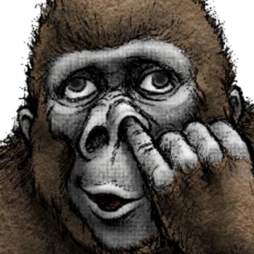 977118b0afc592d2eab370ef4b51a809abaae8a14fe5aa75b9062017563f5214_m.jpeg?1783426041